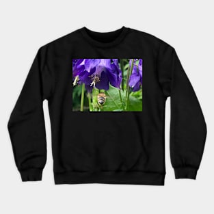 Columbine with flying Honey Bee Crewneck Sweatshirt